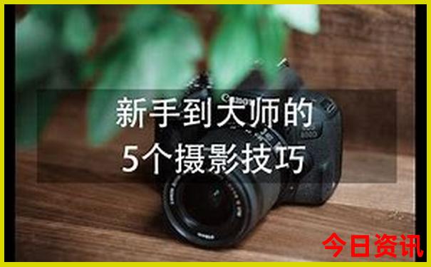 夏天哪个城市不热适合旅游